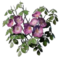 Climbing Rose in Enshrouded