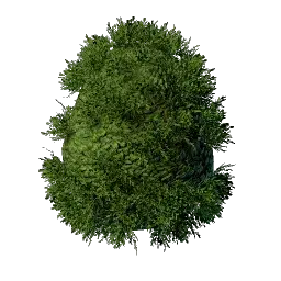 Foliage in Enshrouded