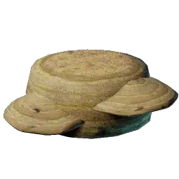 Mushroom Flesh in Enshrouded