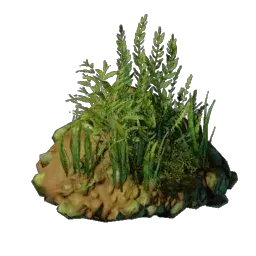 Underwater Mud in Enshrouded