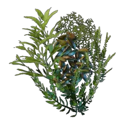 Underwater Overgrowth in Enshrouded